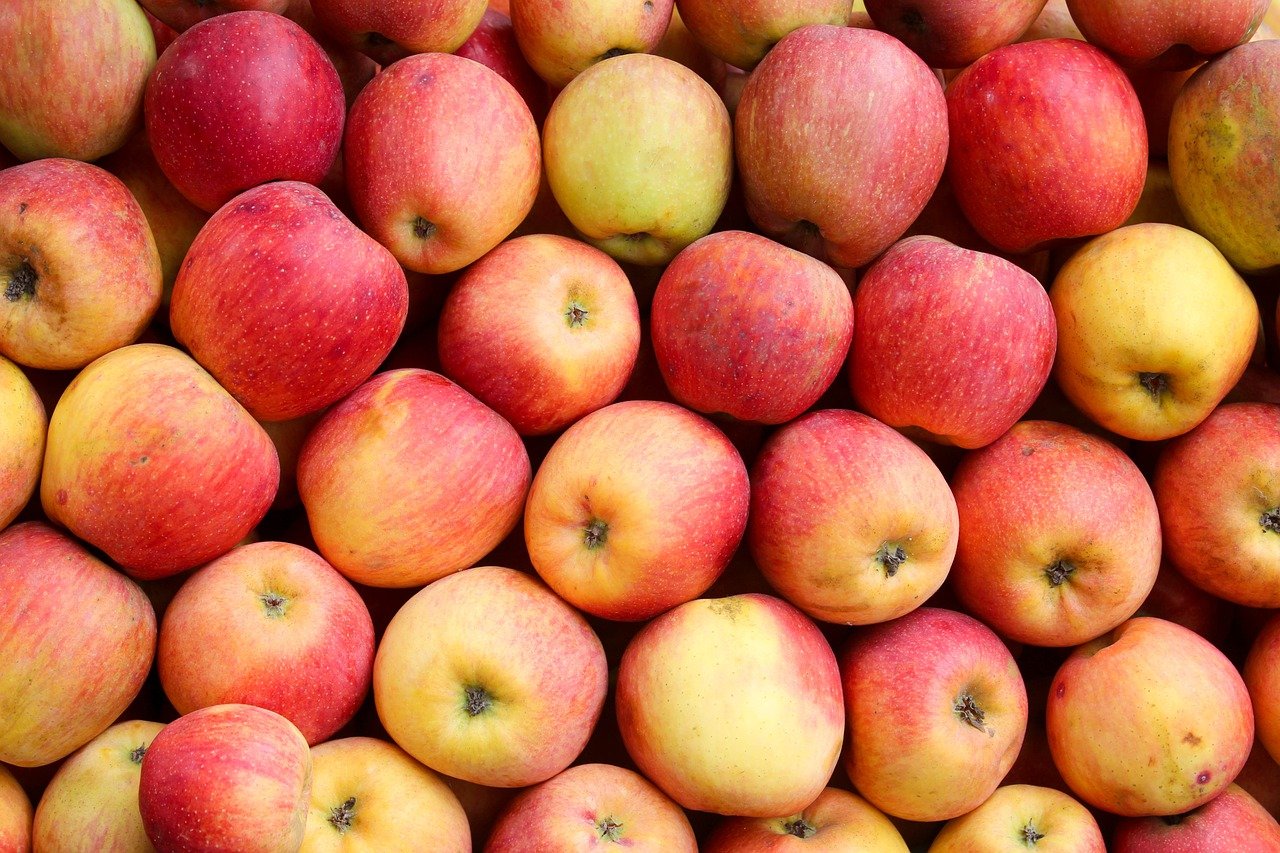 How to Create Your Own Backyard Orchard